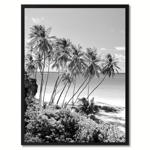 Monterey Cypress Tree Landscape Photo Canvas Print Pictures Frames Home Décor Wall Art Gifts