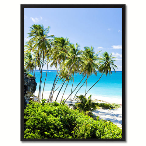 Monterey Cypress Tree Landscape Photo Canvas Print Pictures Frames Home Décor Wall Art Gifts