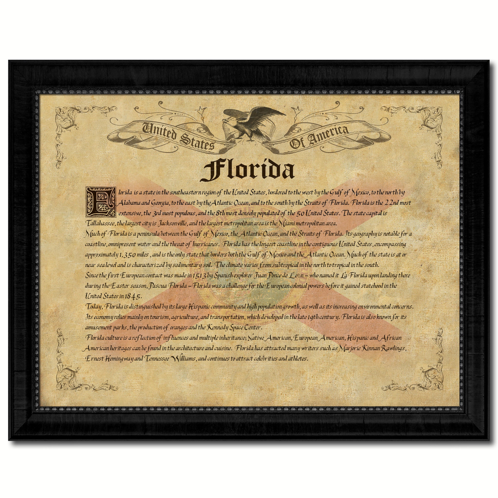 Florida Vintage History Flag Canvas Print, Picture Frame Gift Ideas Home Décor Wall Art Decoration