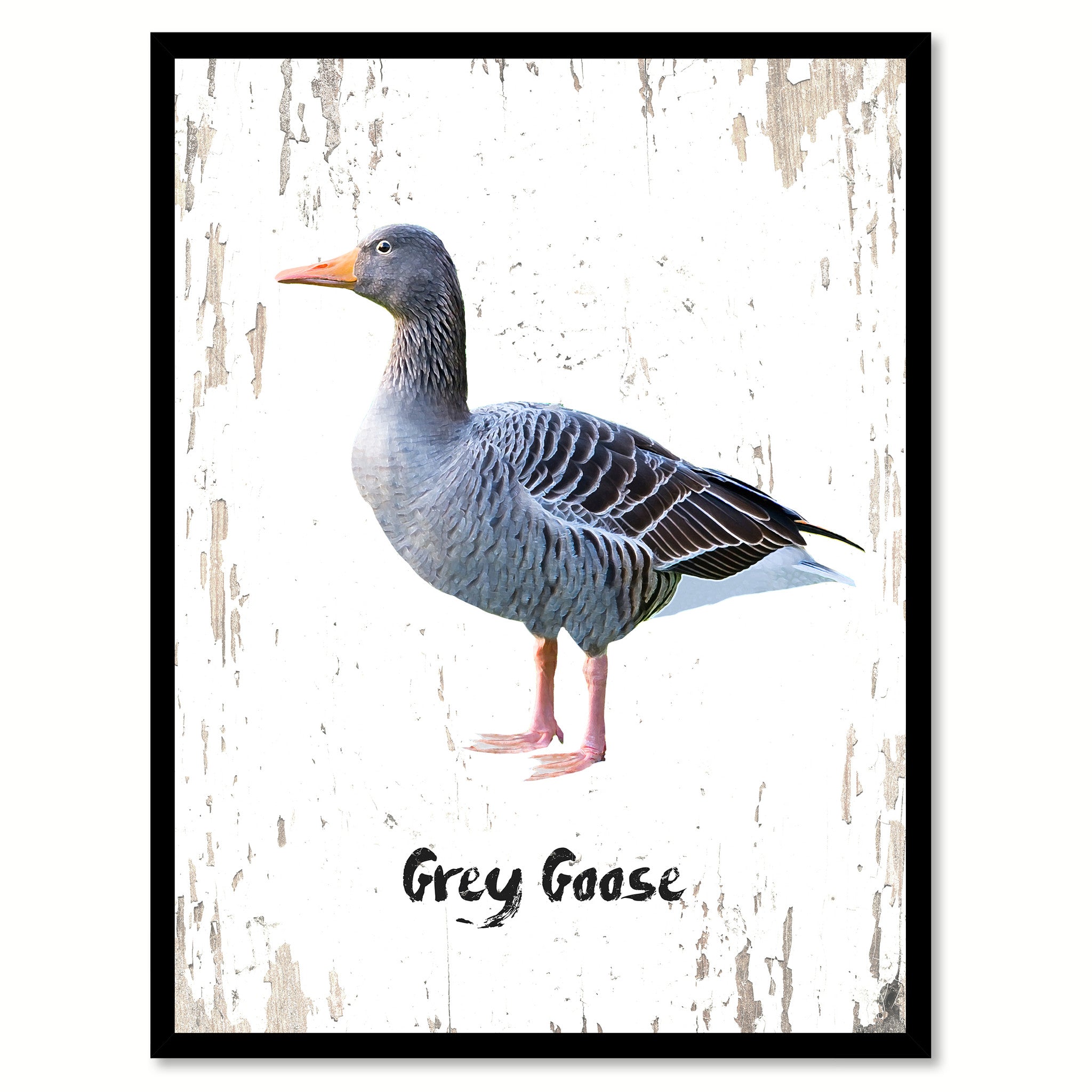 Grey Goose Bird Canvas Print, Black Picture Frame Gift Ideas Home Decor Wall Art Decoration