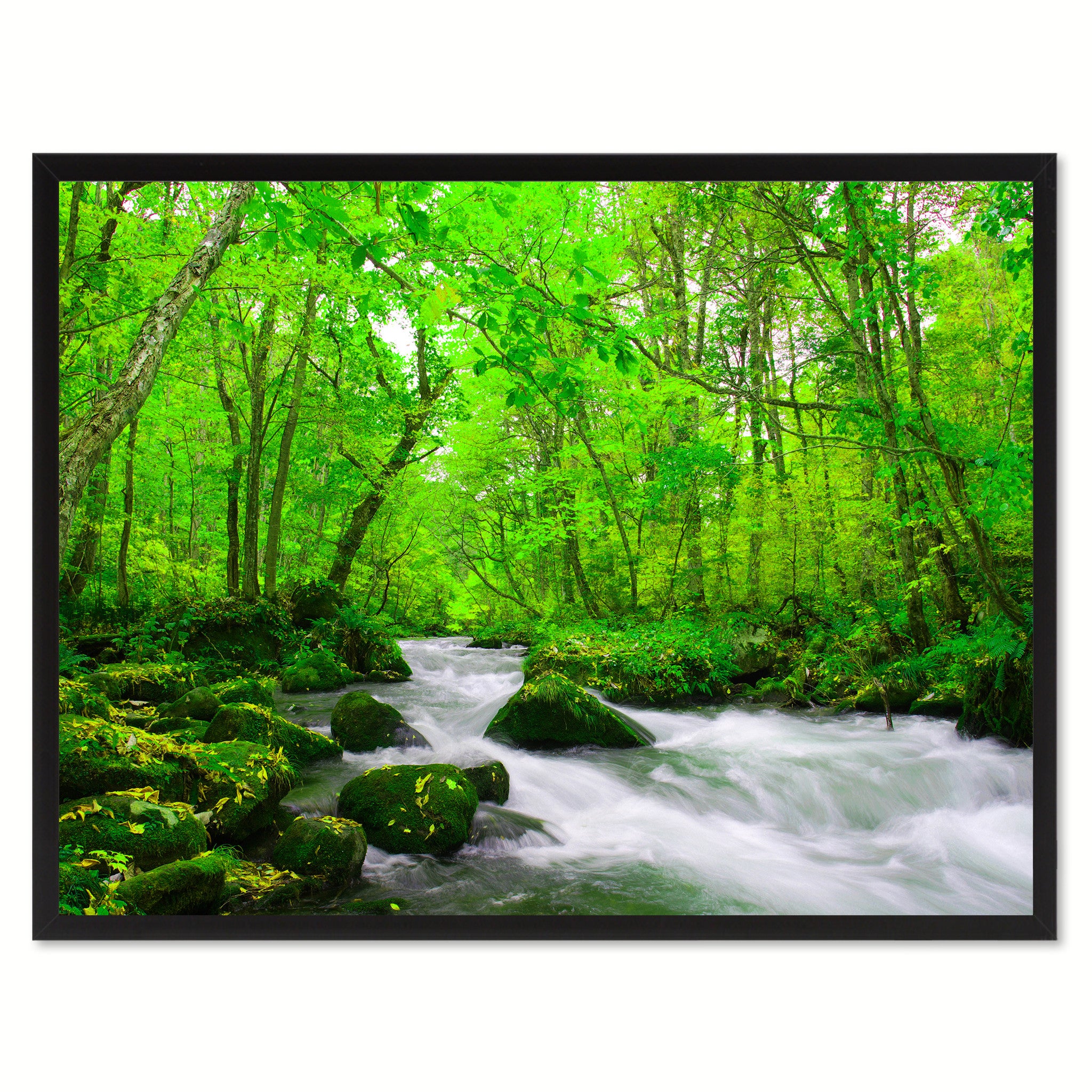 Autumn Stream Green Landscape Photo Canvas Print Pictures Frames Home Décor Wall Art Gifts