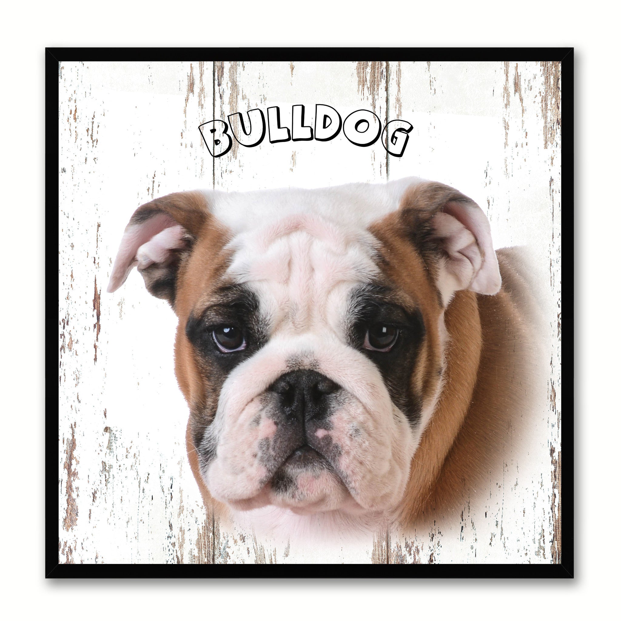 Bulldog Dog Canvas Print Picture Frame Gift Home Decor Wall Art Decoration