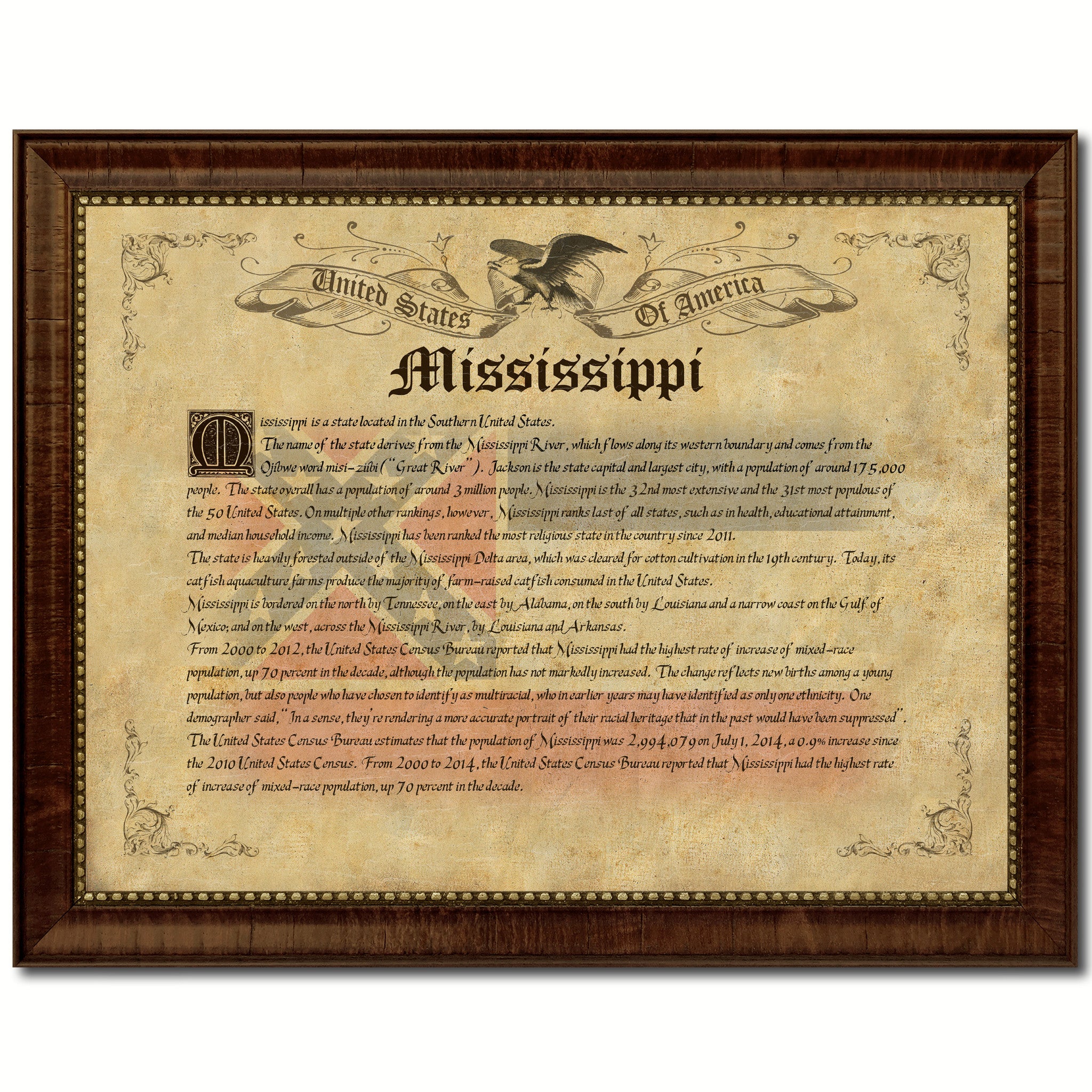 Mississippi Vintage History Flag Canvas Print, Picture Frame Gift Ideas Home Décor Wall Art Decoration