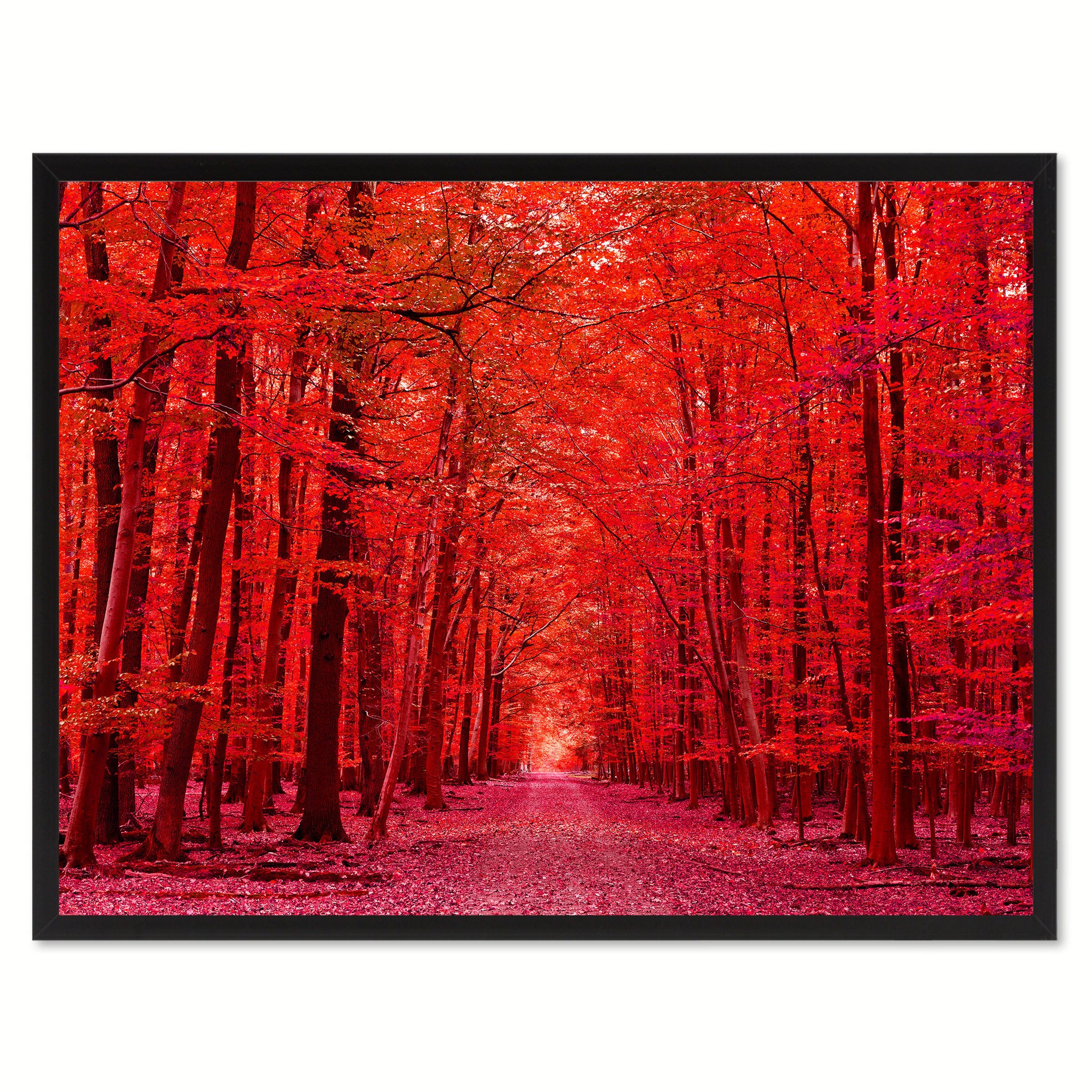 Autumn Road Red Landscape Photo Canvas Print Pictures Frames Home Décor Wall Art Gifts