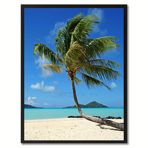 Monterey Cypress Tree Landscape Photo Canvas Print Pictures Frames Home Décor Wall Art Gifts