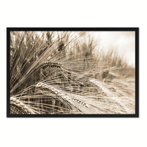 Nutritious Nature Barley Paddy Field Sepia Landscape decor, National Park, Sightseeing, Attractions, Black Frame