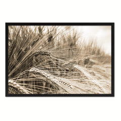 Nutritious Nature Barley Paddy Field Sepia Landscape decor, National Park, Sightseeing, Attractions, Black Frame
