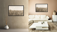 Wheat ears paddy full of grain, on the field Sepia Landscape decor, National Park, Sightseeing, Attractions, Black Frame