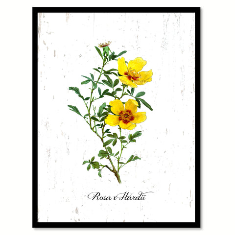 Yellow Rose Flower Canvas Print with Picture Frame Floral Home Decor Wall Art Living Room Decoration Gifts