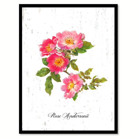 Red Roses Flower Framed Canvas Print Home Décor Wall Art
