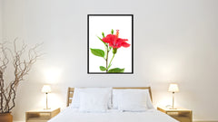 Red Hibiscus Flower Framed Canvas Print Home Décor Wall Art