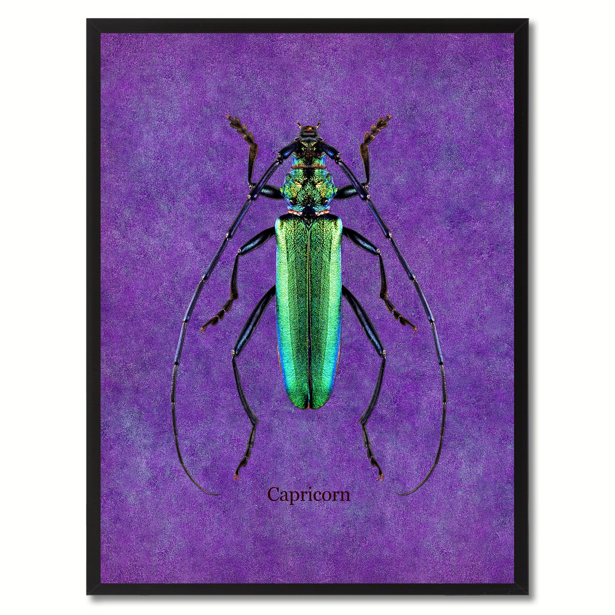 Capricorn Purple Canvas Print, Picture Frames Home Decor Wall Art Gifts