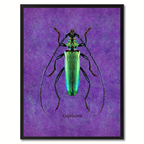 Capricorn Black Canvas Print, Picture Frames Home Decor Wall Art Gifts