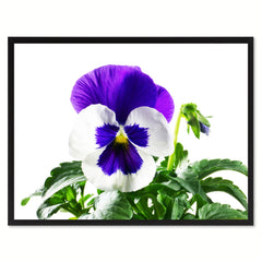 Pansy Flower Framed Canvas Print Home Décor Wall Art
