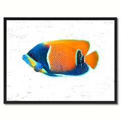 Orange Tropical Fish Painting Reproduction Gifts Home Decor Wall Art Canvas Prints Picture Frames