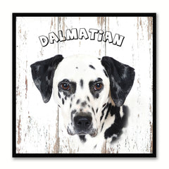 Dalmatian Dog Canvas Print Picture Frame Gift Home Decor Wall Art Decoration