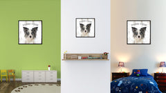 Border Collie Dog Canvas Print Picture Frame Gift Home Decor Wall Art Decoration