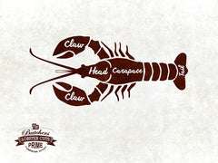 Beef, Chicken, Duck, Goose, Lamb, Pork, Turkey, Crab, Fish, Lobster, Shrimp Meat Cow Cuts Butchers Chart