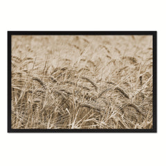 Golden rye paddy ready for harvest Sepia Landscape decor, National Park, Sightseeing, Attractions, Black Frame