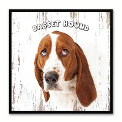 Basset Hound Dog Canvas Print Picture Frame Gift Home Decor Wall Art Decoration