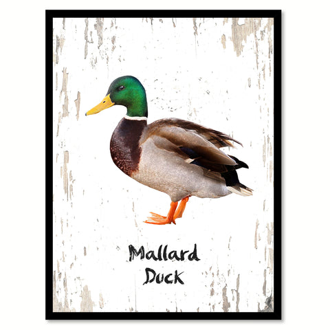 Mallard Duck Bird Canvas Print, Black Picture Frame Gift Ideas Home Decor Wall Art Decoration