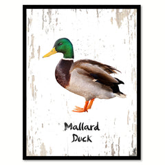 Mallard Duck Bird Canvas Print, Black Picture Frame Gift Ideas Home Decor Wall Art Decoration