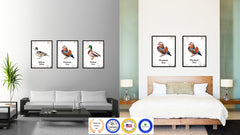 Mandarin Duck Bird Canvas Print, Black Picture Frame Gift Ideas Home Decor Wall Art Decoration