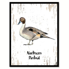 Northern Pintail Bird Canvas Print, Black Picture Frame Gift Ideas Home Decor Wall Art Decoration