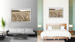 Barley paddy Sepia Landscape decor, National Park, Sightseeing, Attractions, White Wash Wood Frame