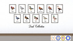 Grey Goose Bird Canvas Print, Black Picture Frame Gift Ideas Home Decor Wall Art Decoration