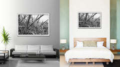Nutritious Nature Rice Paddy Field Black and White Landscape decor, National Park, Sightseeing, Attractions, White Wash Wood Frame