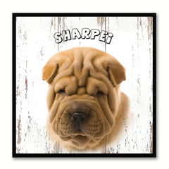 Sharpei Dog Canvas Print Picture Frame Gift Home Decor Wall Art Decoration