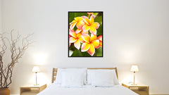 Plumeria Flower Framed Canvas Print Home Décor Wall Art