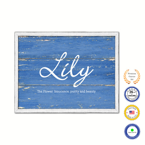 Lily Name Plate White Wash Wood Frame Canvas Print Boutique Cottage Decor Shabby Chic