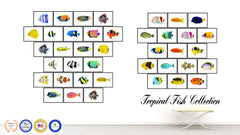 Yellow Tropical Fish Painting Reproduction Gifts Home Decor Wall Art Canvas Prints Picture Frames