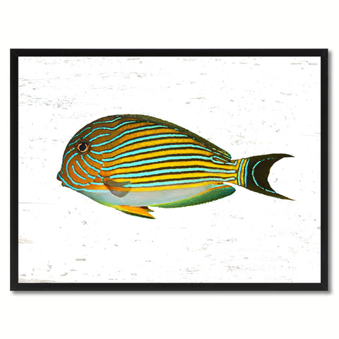Orange Clown Tropical Fish Painting Reproduction Gifts Home Decor Wall Art Canvas Prints Picture Frames