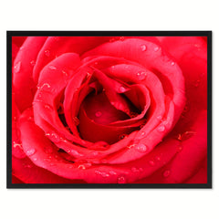 Red Rose Flower Framed Canvas Print Home Décor Wall Art