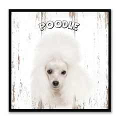Poodle Dog Canvas Print Picture Frame Gift Home Decor Wall Art Decoration