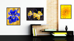 Yellow Crocuses Flower Framed Canvas Print Home Décor Wall Art