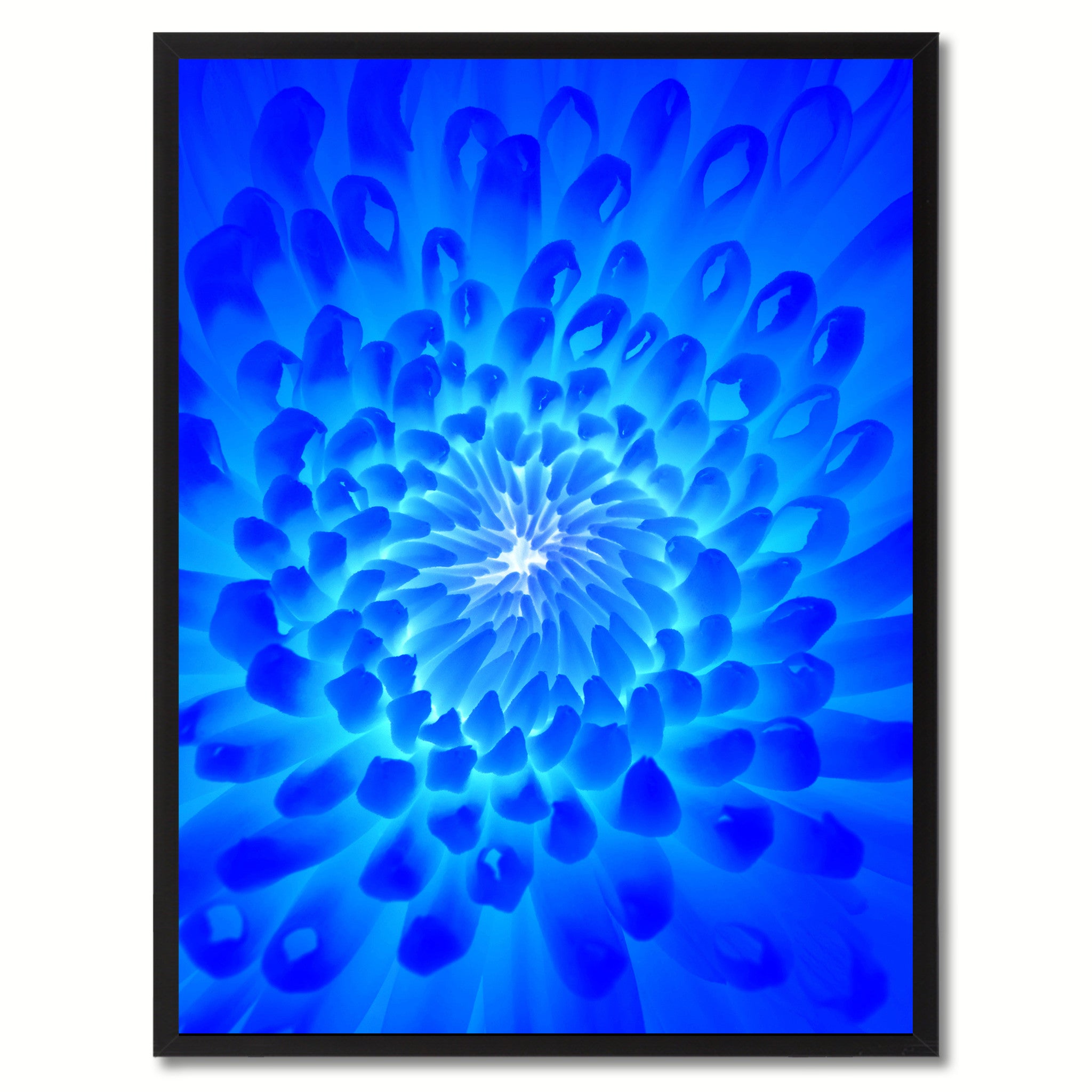 Blue Chrysanthemum Flower Framed Canvas Print Home Décor Wall Art