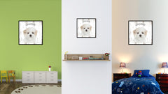 Maltese Dog Canvas Print Picture Frame Gift Home Decor Wall Art Decoration