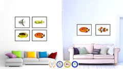 Orange Tropical Fish Painting Reproduction Gifts Home Decor Wall Art Canvas Prints Picture Frames