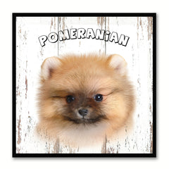 Pomeranian Dog Canvas Print Picture Frame Gift Home Decor Wall Art Decoration