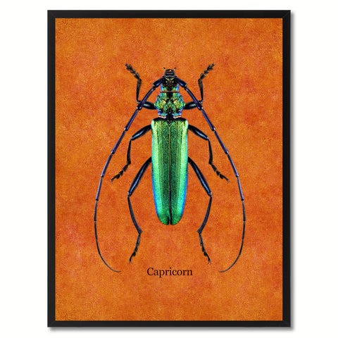 Capricorn Brown Canvas Print, Picture Frames Home Decor Wall Art Gifts
