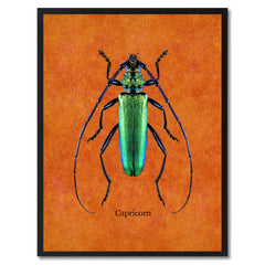 Capricorn Orange Canvas Print, Picture Frames Home Decor Wall Art Gifts