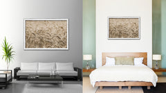 Golden rye paddy ready for harvest Sepia Landscape decor, National Park, Sightseeing, Attractions, White Wash Wood Frame