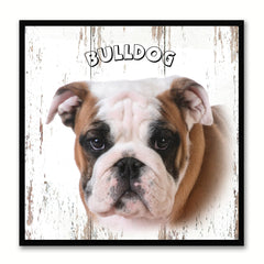 Bulldog Dog Canvas Print Picture Frame Gift Home Decor Wall Art Decoration