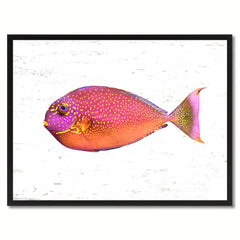 Pink Tropical Fish Painting Reproduction Gifts Home Decor Wall Art Canvas Prints Picture Frames