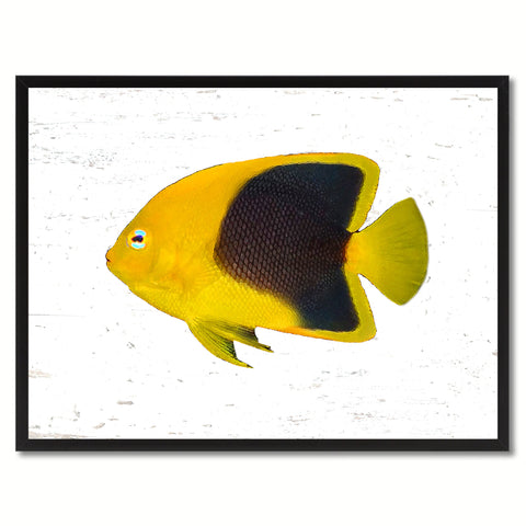 Yellow Angel Tropical Fish Painting Reproduction Gifts Home Decor Wall Art Canvas Prints Picture Frames