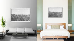 Wheat ears paddy full of grain, on the field Black and White Landscape decor, National Park, Sightseeing, Attractions, White Wash Wood Frame